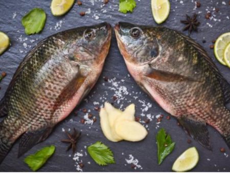 LFISH חנות הדגים הטריים בשומרון להזמנות ומשלוחים מקרניון אינטרנט קרני שומרון LFISH Магазин свежей рыбы в Самарии для заказов и доставки из интернет-центра Karni Shomron