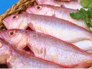 פילה ברבוניה - מחיר 26 לפי יחידה\אריזה