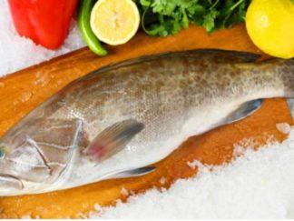 לוקוס שלם\חתוך\נקי\טחון - מחיר לפי 135 ש"ח לקילו