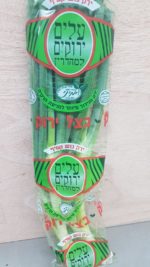 בצל ירוק מהדרין משלוחים מחנות בראי טרי עד הבית קניון קרני שומרון