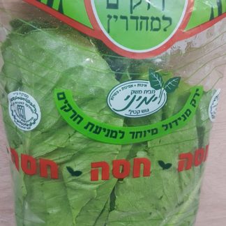 חסה מהדרין למשלוחים חנות קרני שומרון אינטרנט