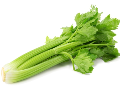 סלרי ירקות טריים להזמנה לסוף שבוע משלוח הביתה Сельдерей из свежих овощей на заказ с доставкой на дом на выходных