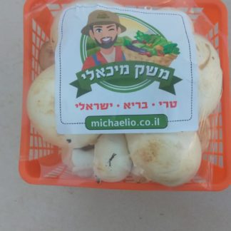 הזמנת פטריות טריות בקופסא משלוח עד הבית קרני שומרון