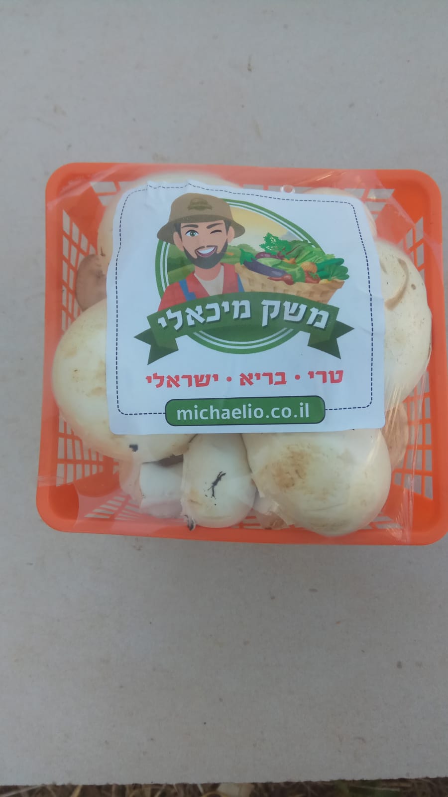 הזמנת פטריות טריות בקופסא משלוח עד הבית קרני שומרון