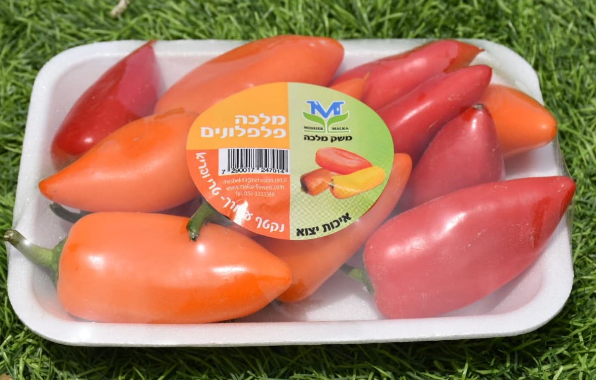 פלפלונים להזמנה משלוח עד הבית בשומרון ירקות טריים