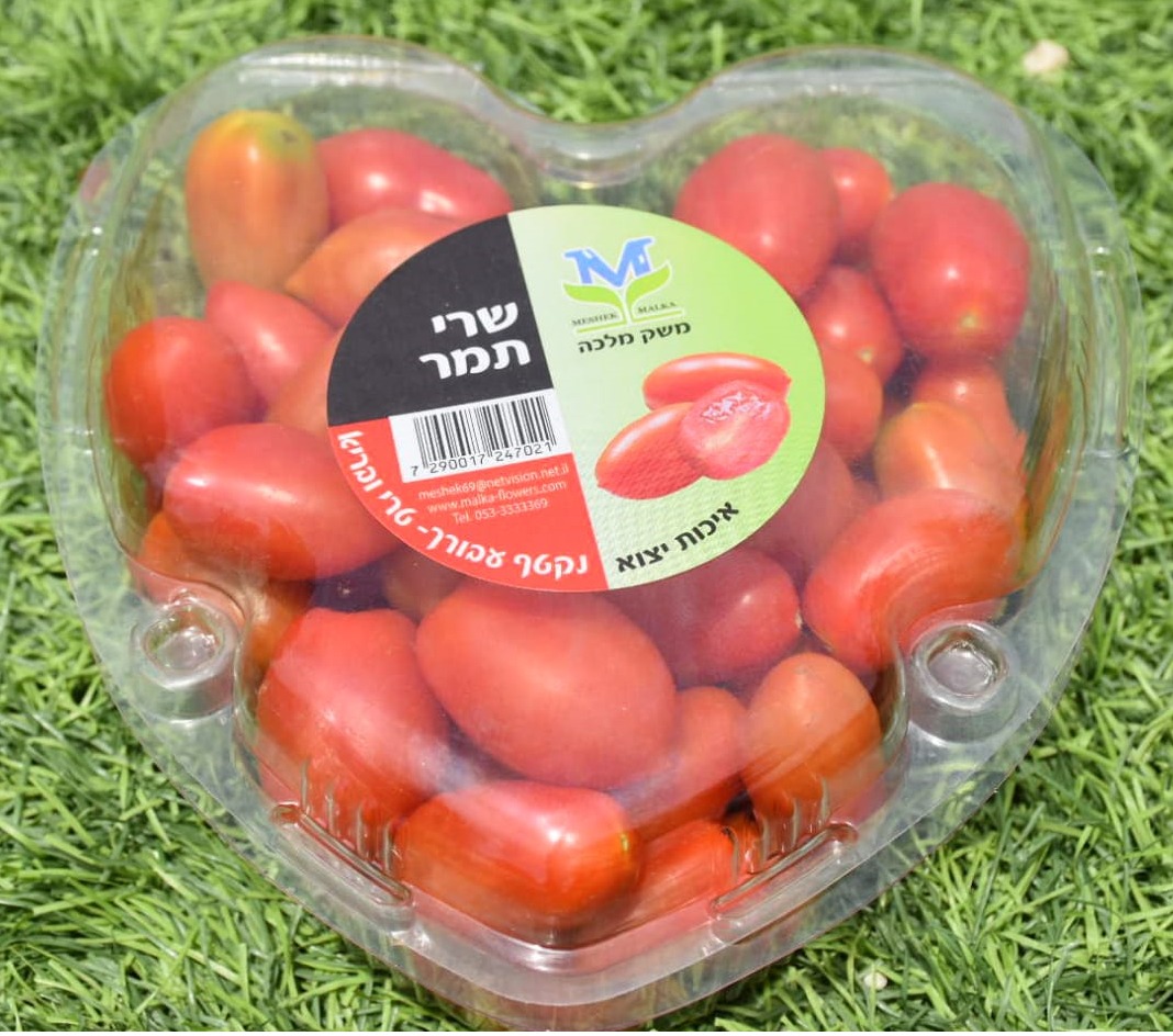 עגבניות שרי תמר להמנות ירקות טרים לשבת וסופ שבוע בשומרון משלוחים עד הבית